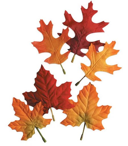 Autumn Leaves Pack