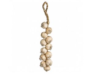 Garlic String