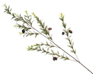 Artificial Olive Branch