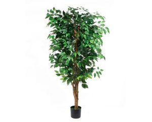 Artificial Ficus Tree