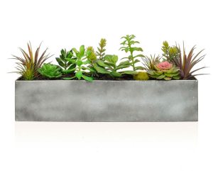Steel Trough Succulents