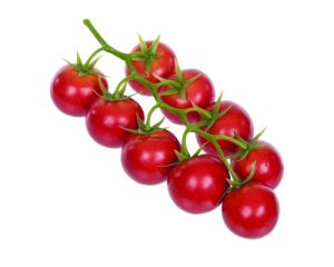 Artificial Vine Tomatoes