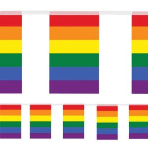Rainbow Flag Interior Bunting