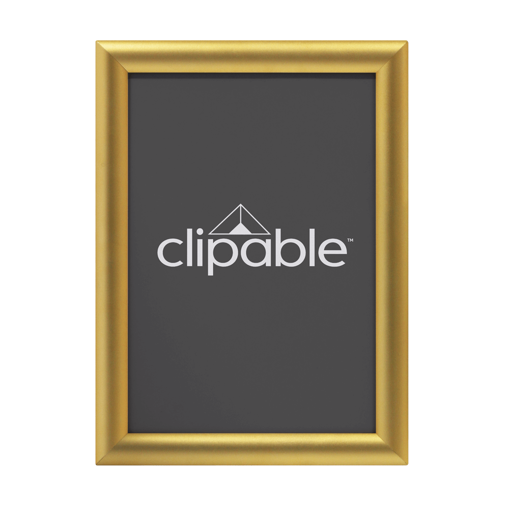 Gold snap frame