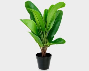 Artificial Banana Plant