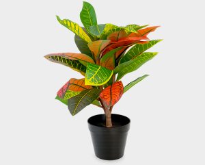 Artificial Variegated Plant