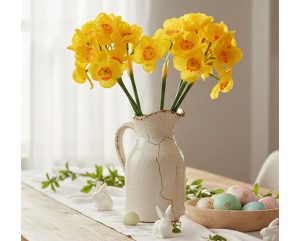 Daffodil Spray