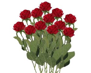 Valentines Red Rose Bunch