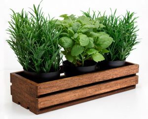 Herb and Crate Display